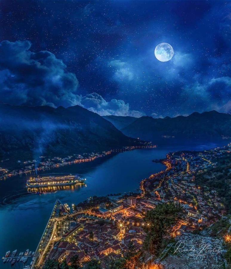 Alisa Sea View Apartment Prcanj Kotor Eksteriør bilde